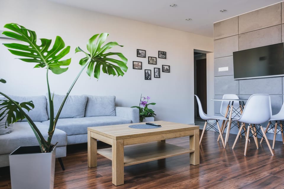 Communal lounge/ TV room, Game Room, TV and multimedia, Living room, Seating area, Dining area