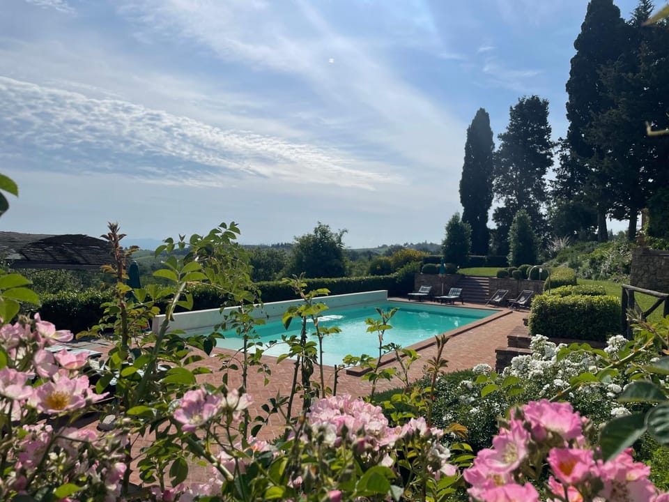 Pool view, Swimming pool