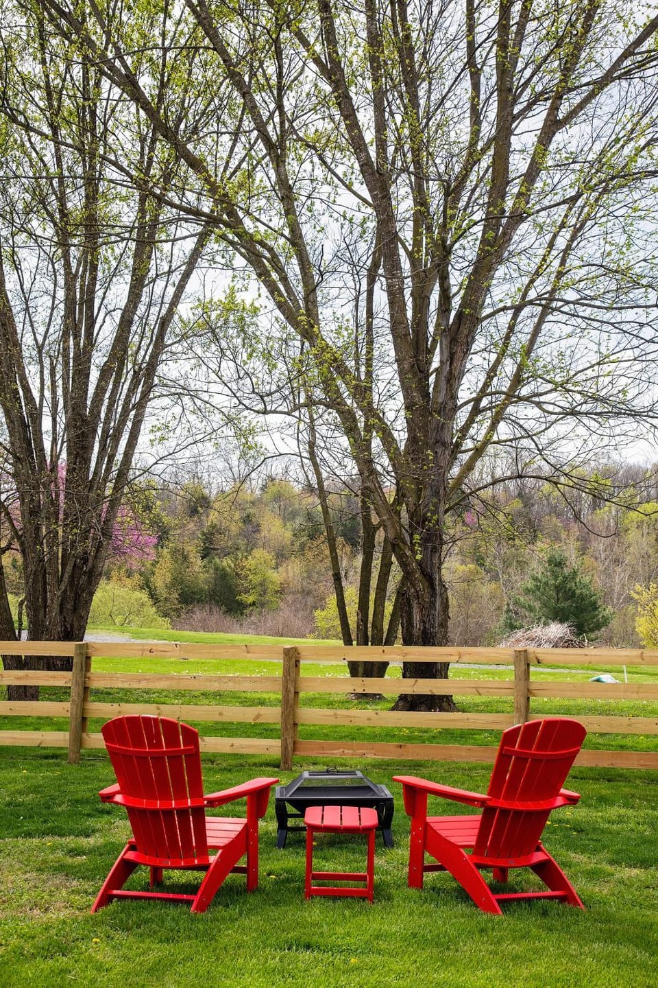 River Bluff Farm Bed and Breakfast Bed and Breakfast in Shenandoah Valley