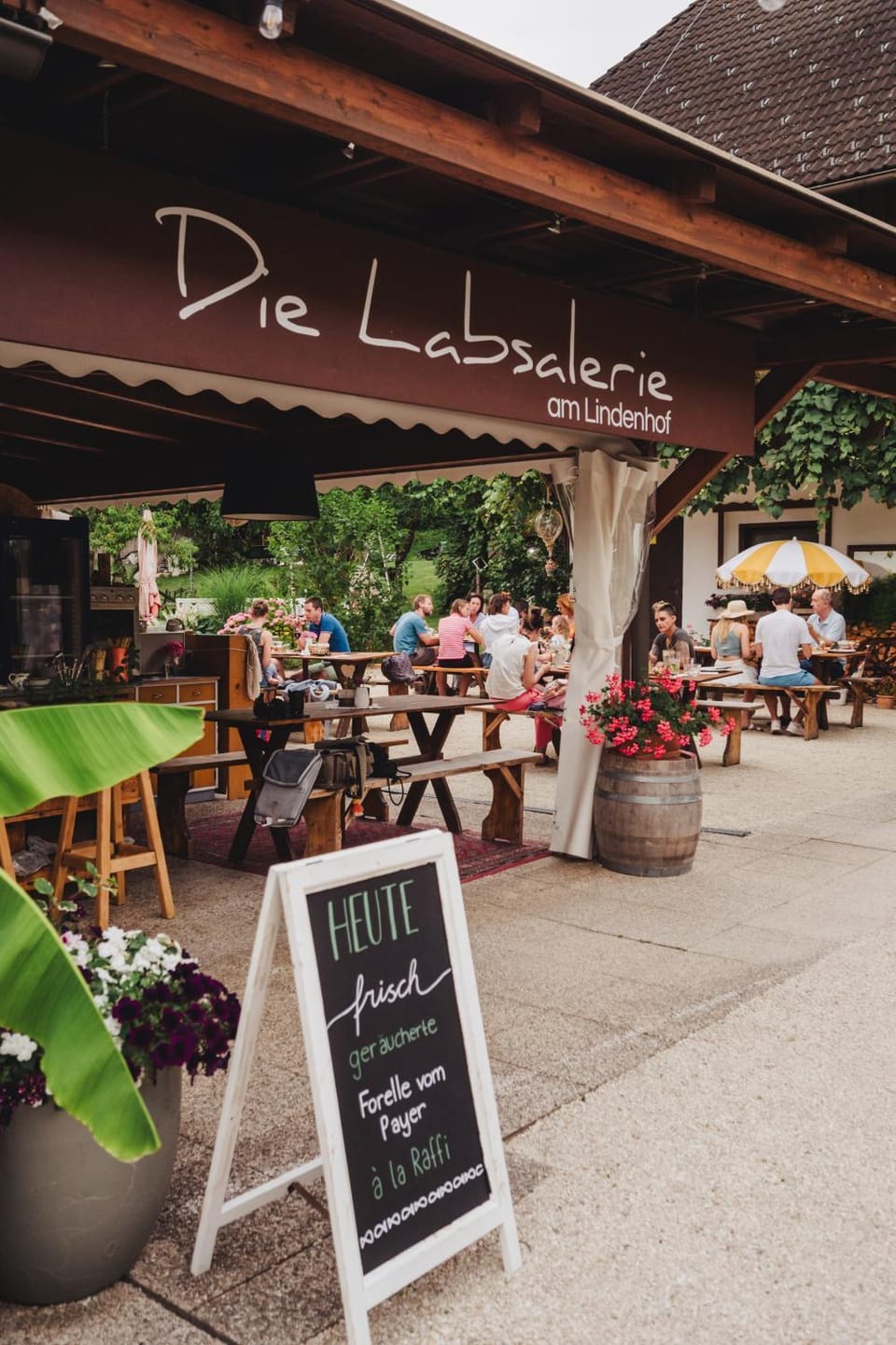 Restaurant/places to eat, Lounge or bar