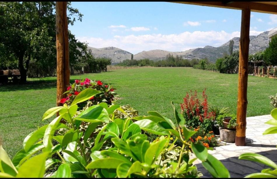 Pensions Airport Apartment in Podgorica