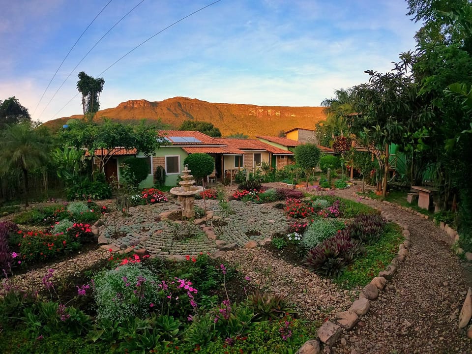 View (from property/room), Garden view