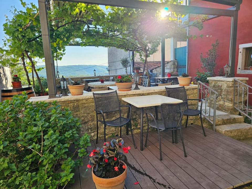 Patio, Garden