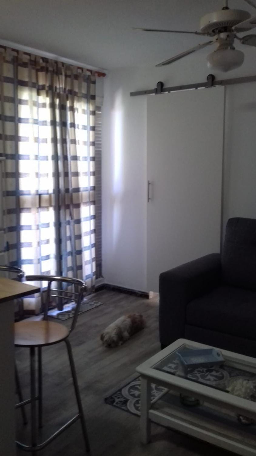 La Pineda III Apartment in La Pineda