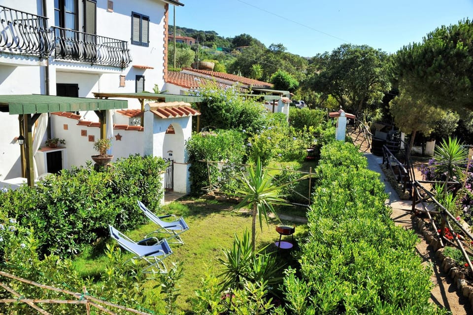 Natural landscape, Garden view