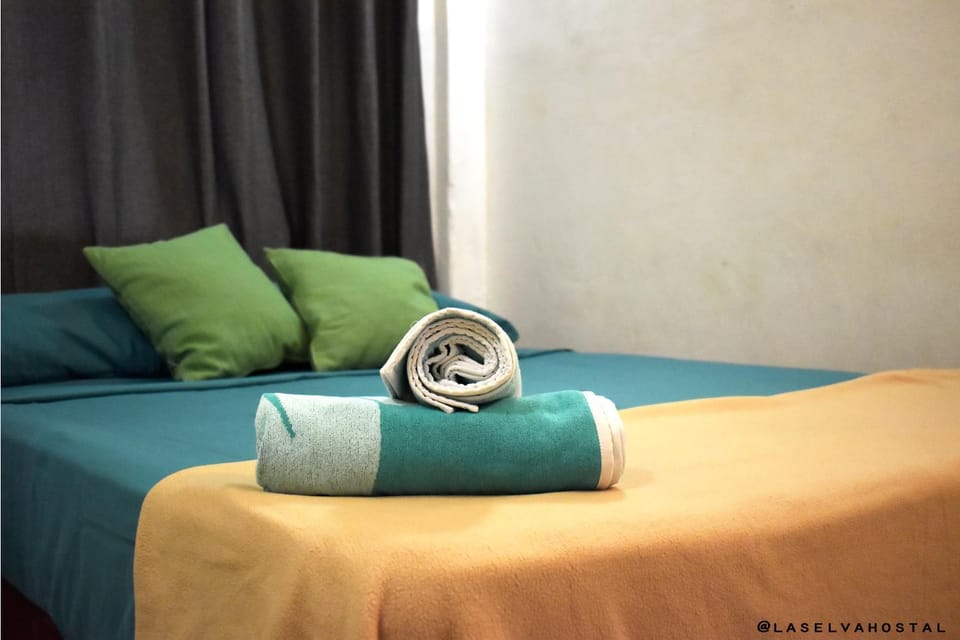 LA SELVA Bed and Breakfast in San Francisco, Nayarit
