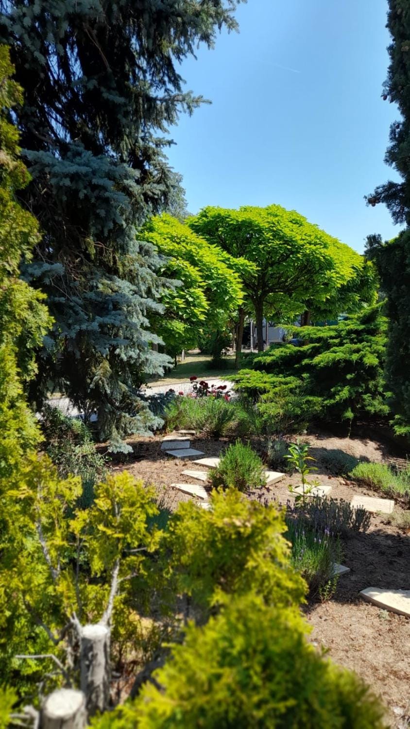 Day, Natural landscape, Garden