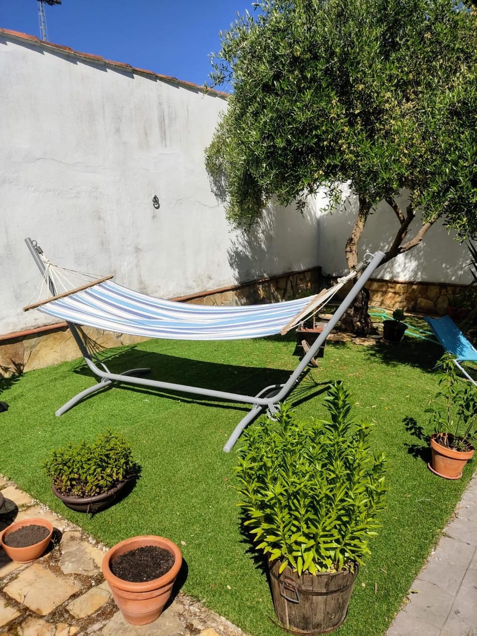Garden, sunbed
