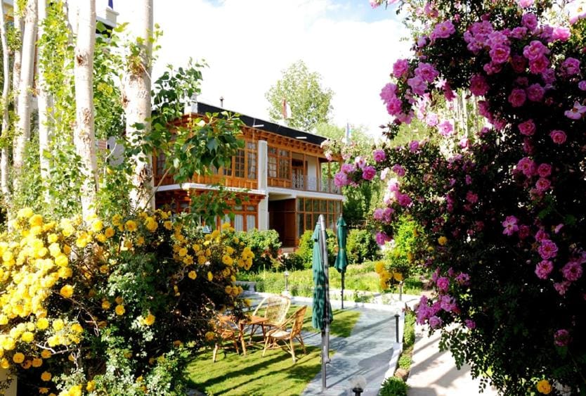 Garden