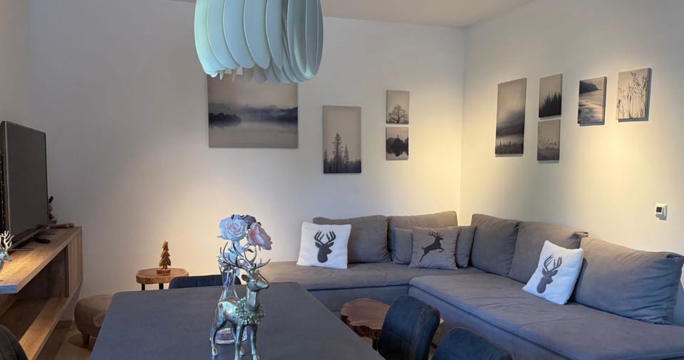 Patio, TV and multimedia, Living room
