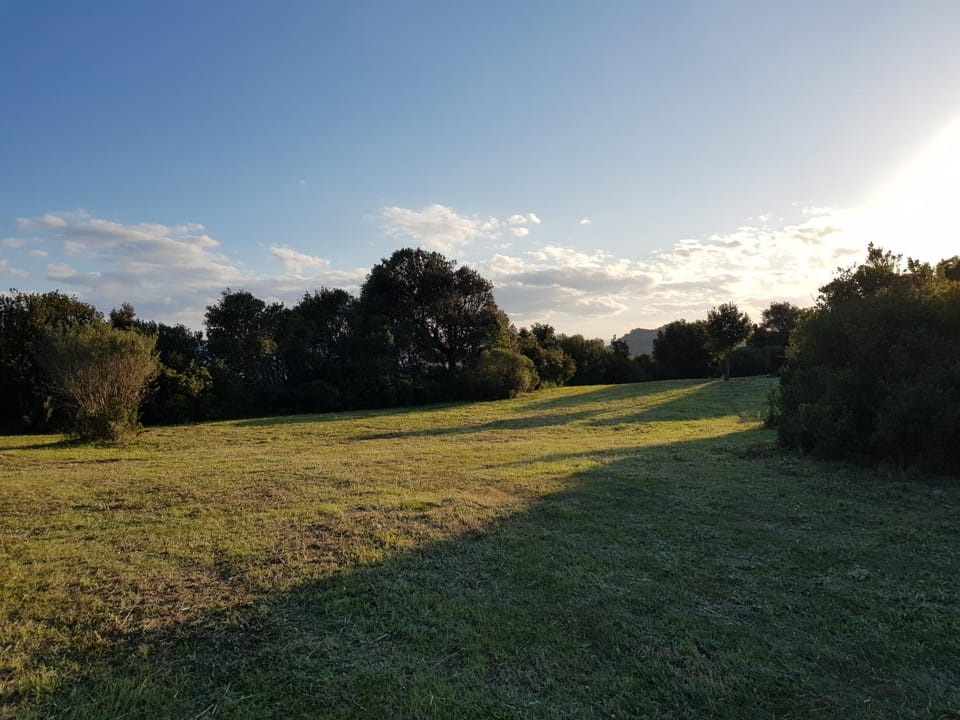 Natural landscape, Garden