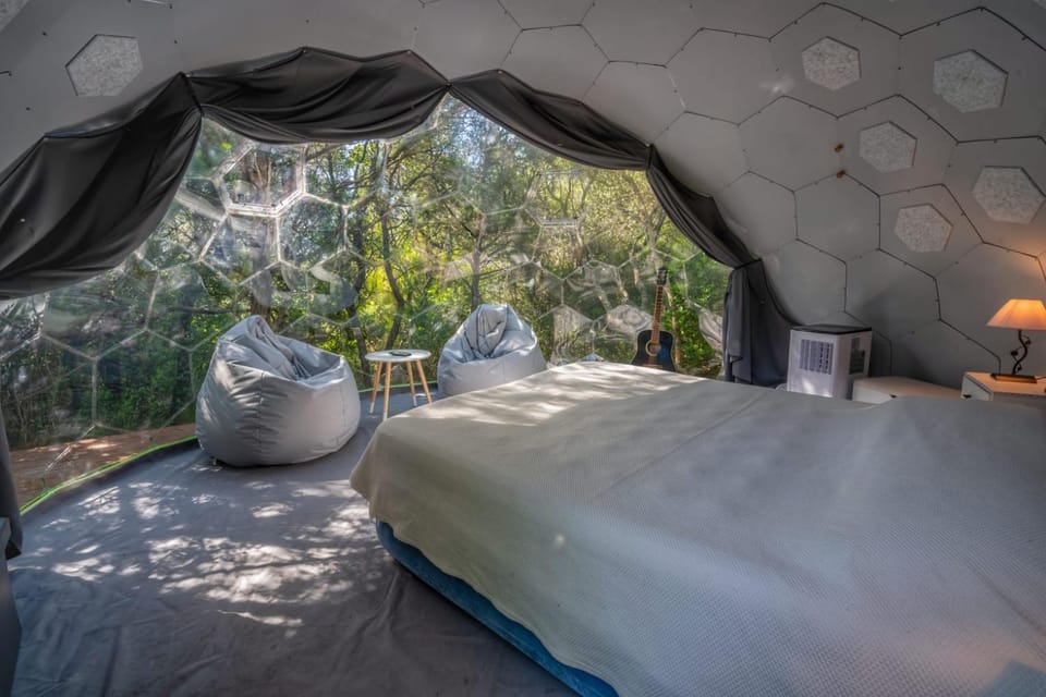 Natural landscape, Bedroom, Garden view