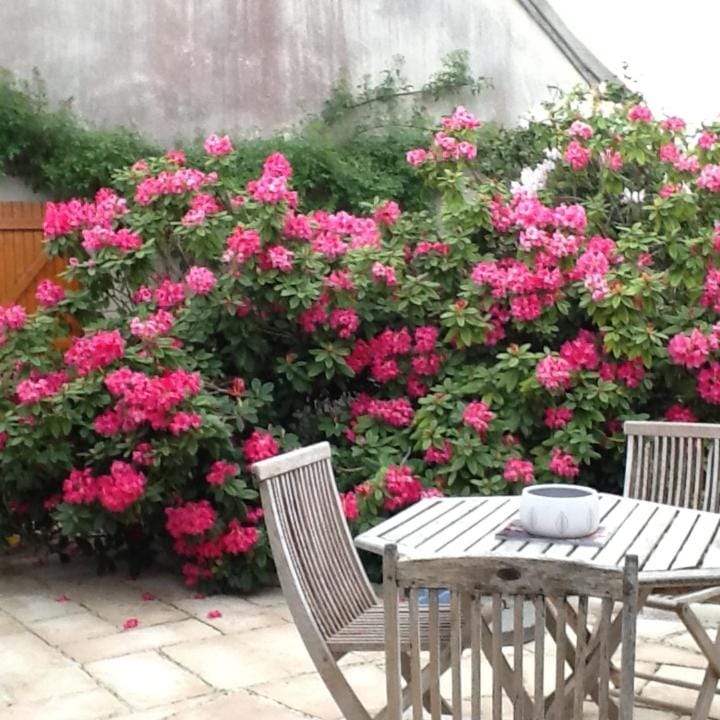 Domaine de la Botterie Bed and Breakfast in Centre-Val de Loire