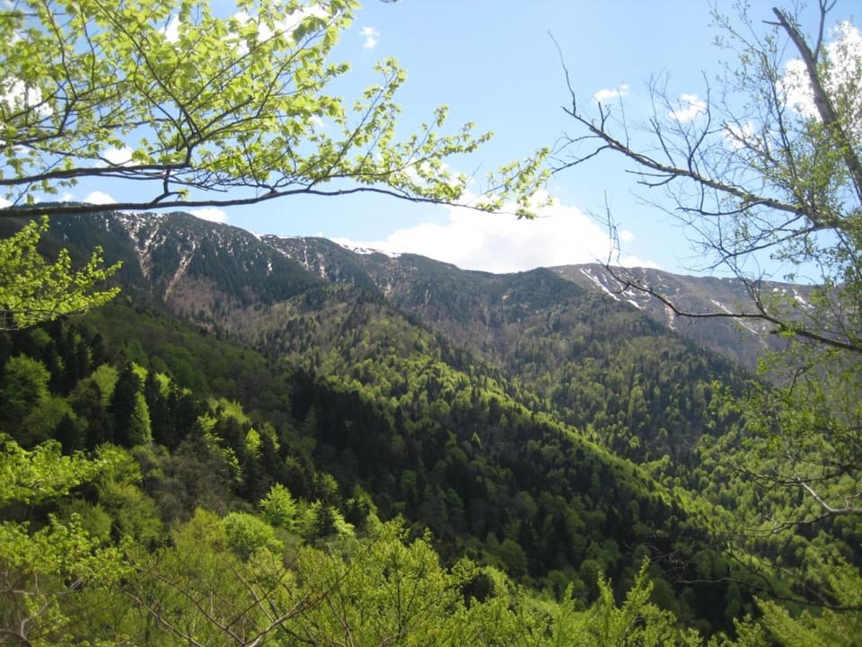 Bungalows Zdravets Bed and Breakfast in Bulgaria