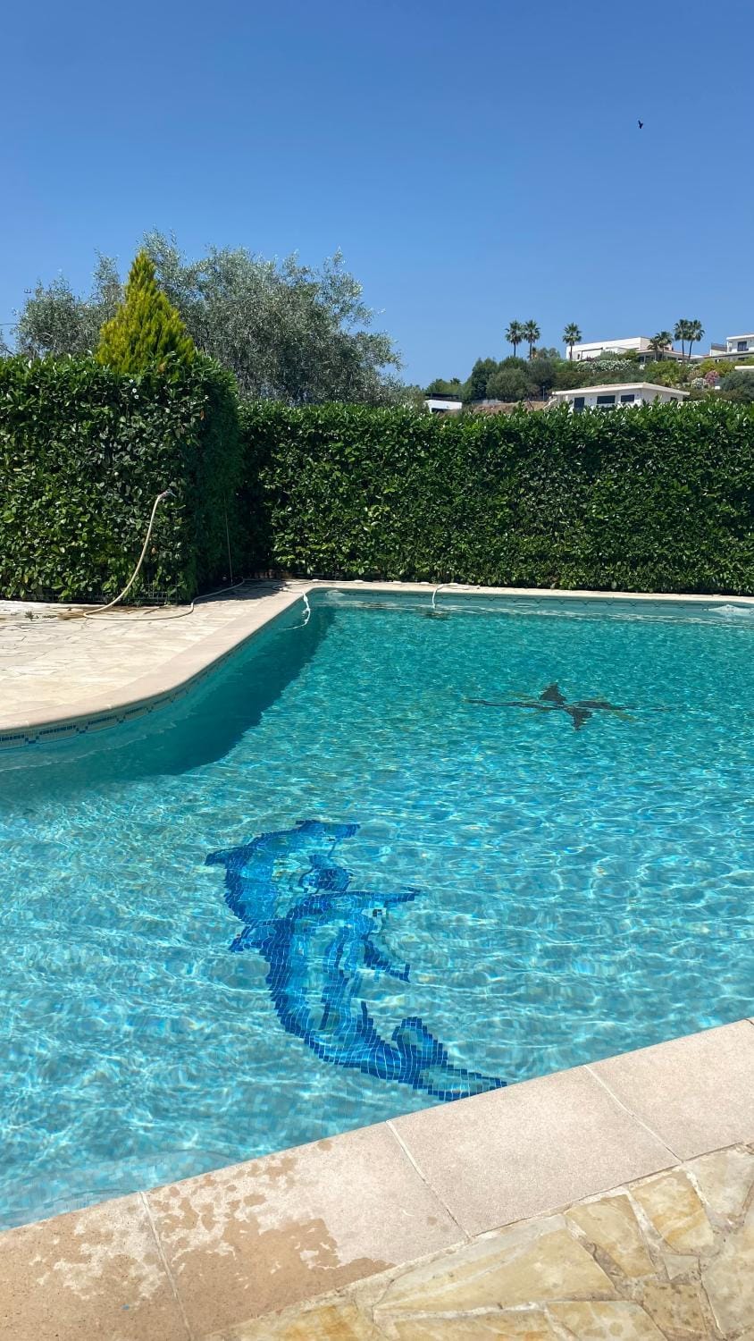 Pool view, Swimming pool