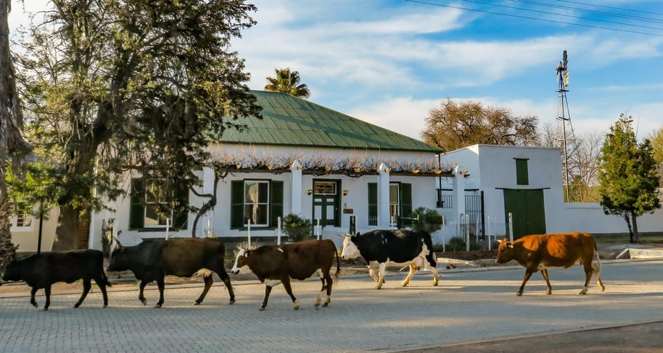 Colonial Karoo Guesthouse Bed and Breakfast in Eastern Cape