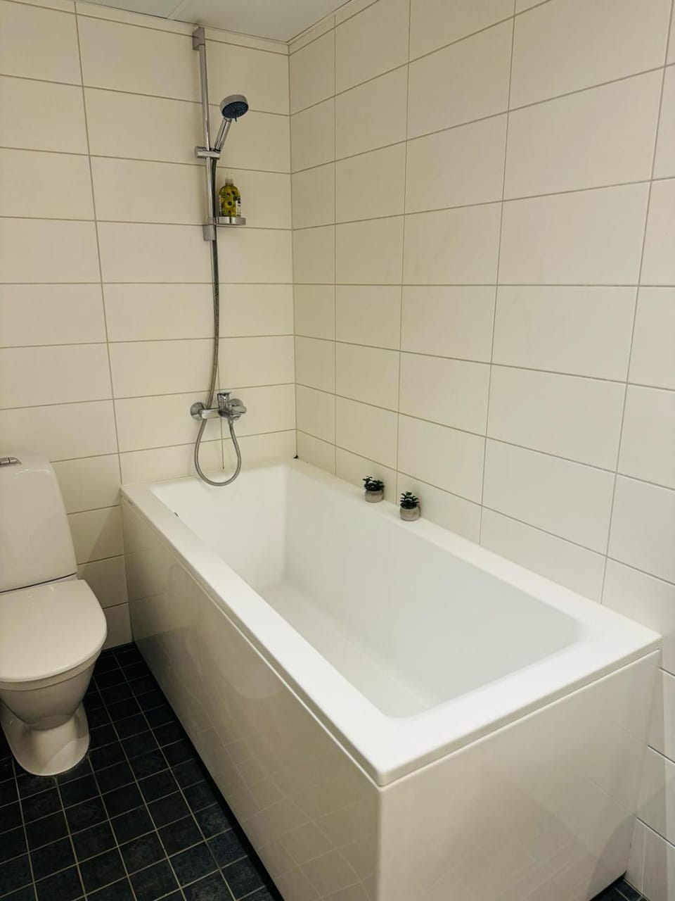 Bathroom, Bath