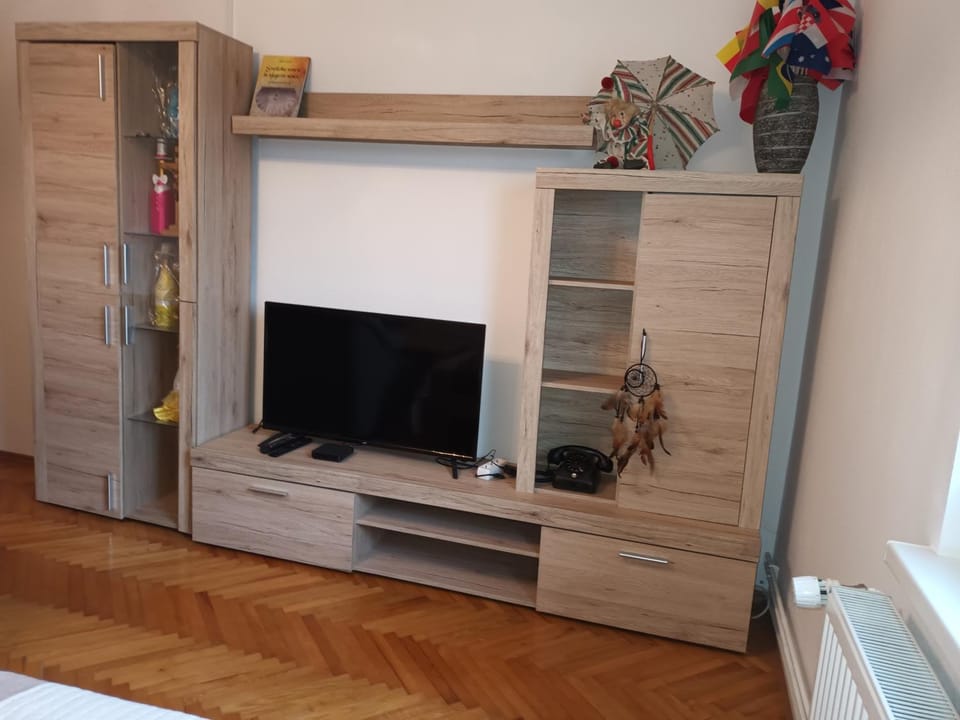 TV and multimedia