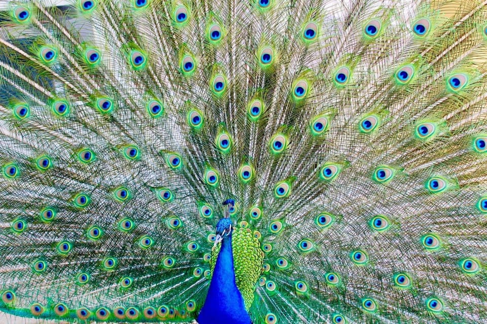 Casa Limonaia a Perugia Apartment in Perugia