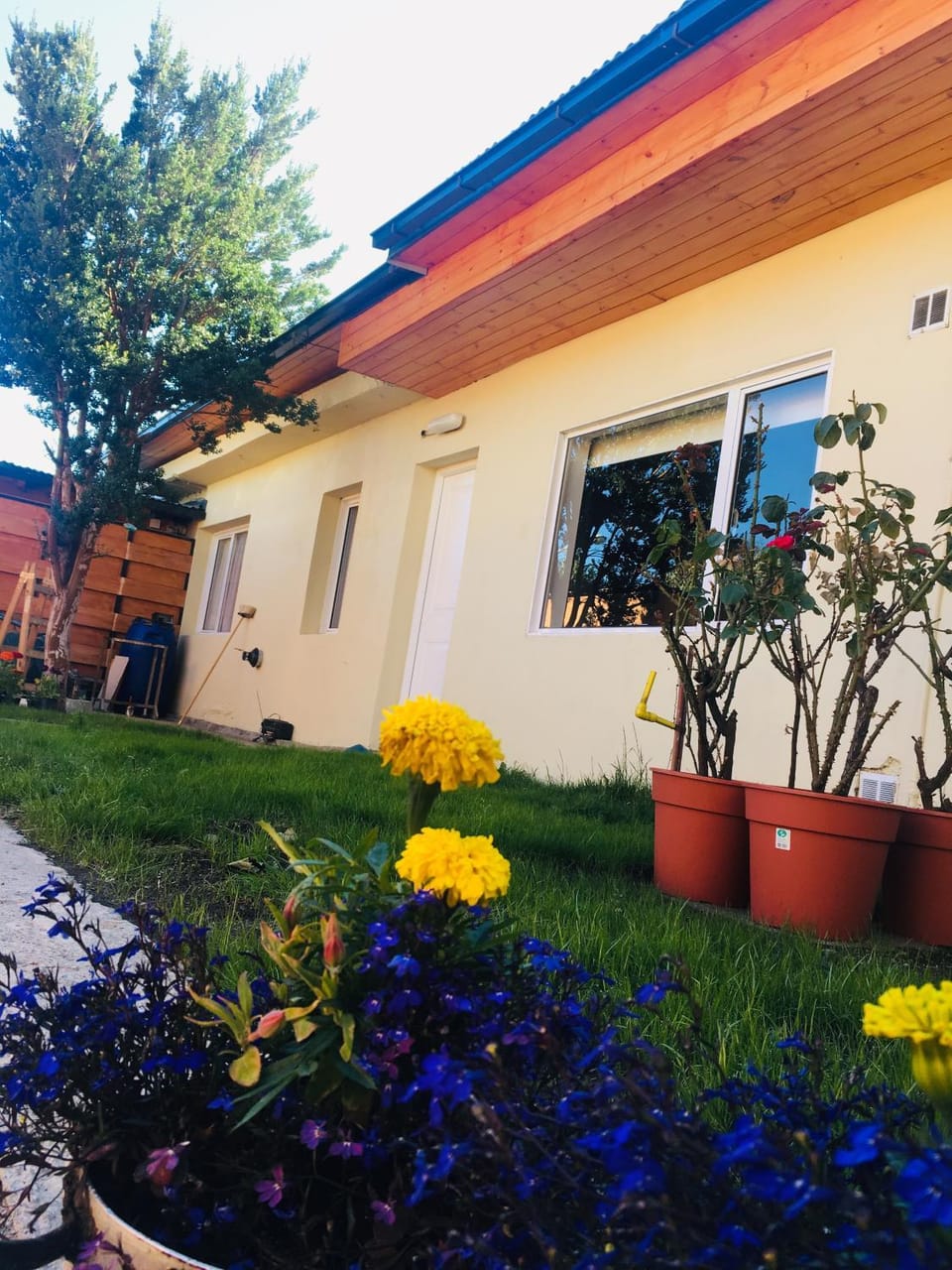 Property building, Patio, Facade/entrance, Garden
