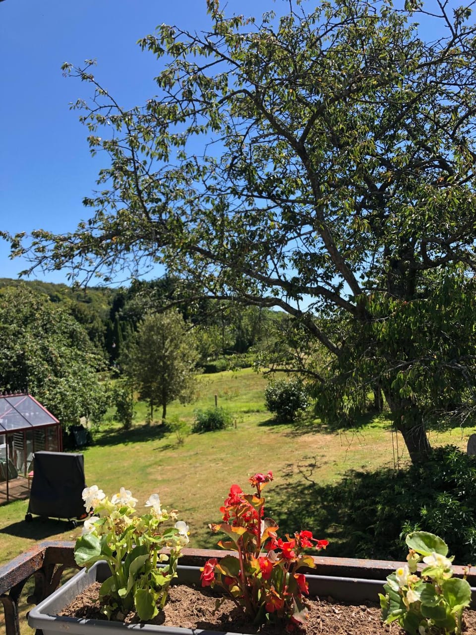 Garden view