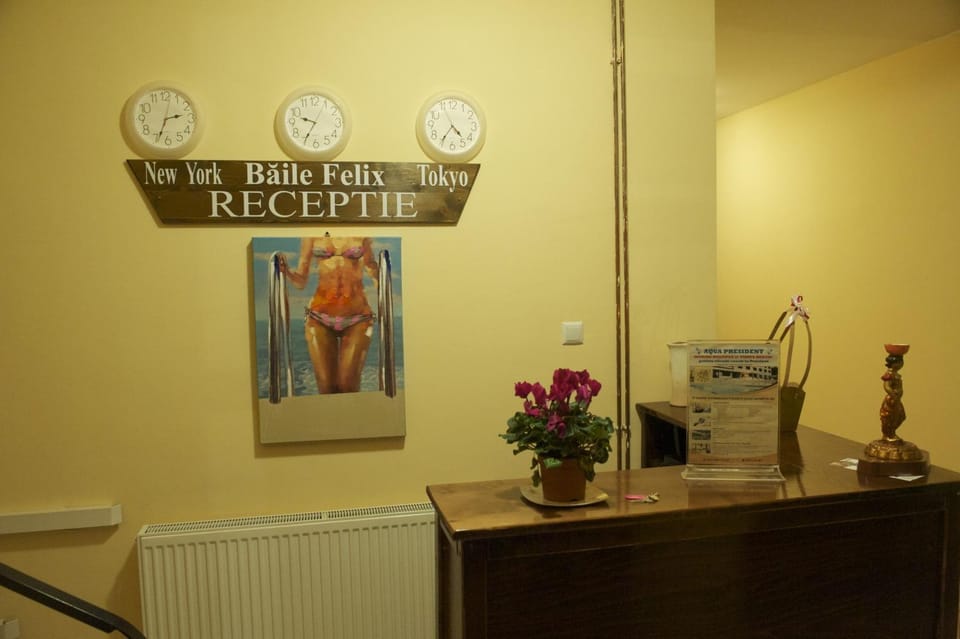Pensiunea Cipri Bed and Breakfast in Hungary