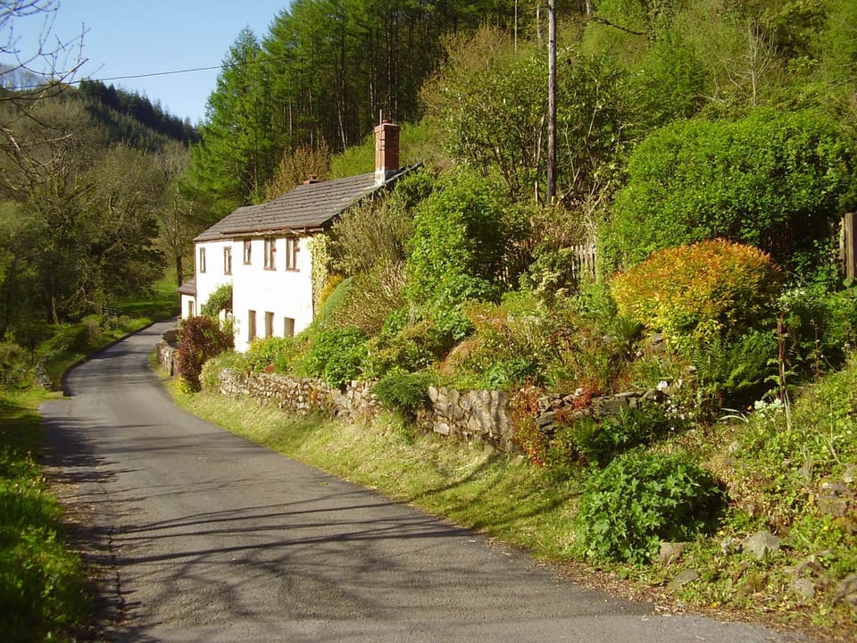 'Morris' the shepherd's hut ,woodland hot tub available, separate fee Luxury tent in Wales