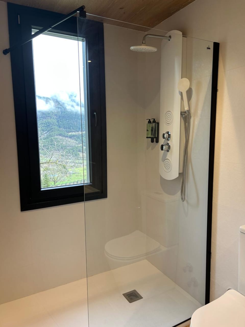 Shower, Toilet, Bathroom, Mountain view, towels