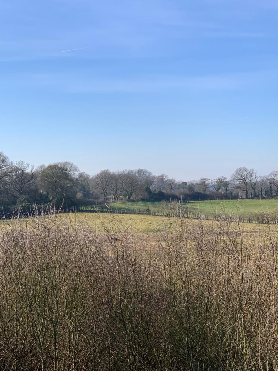 Natural landscape, View (from property/room)