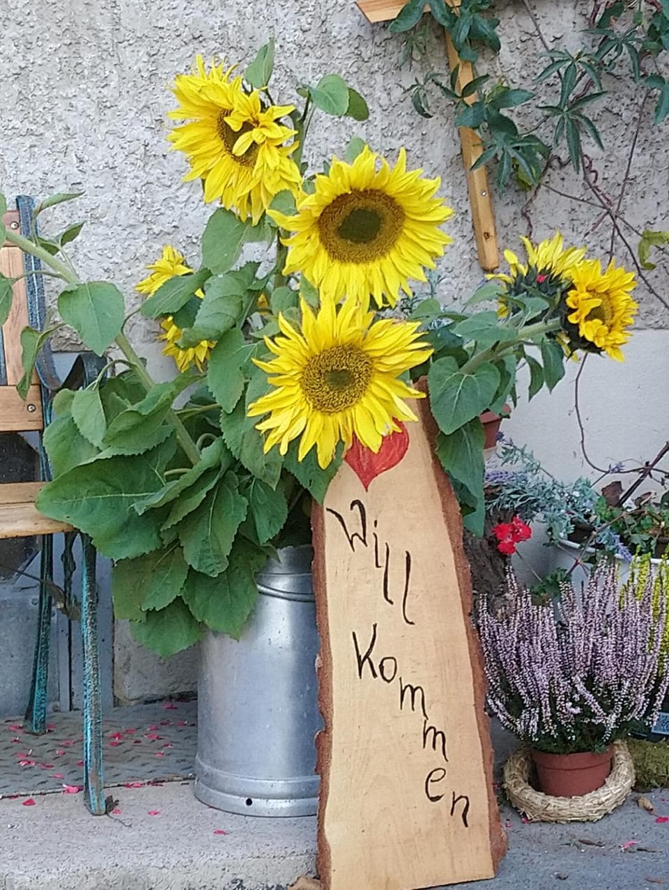 Logo/Certificate/Sign