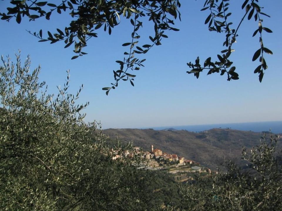 Natural landscape