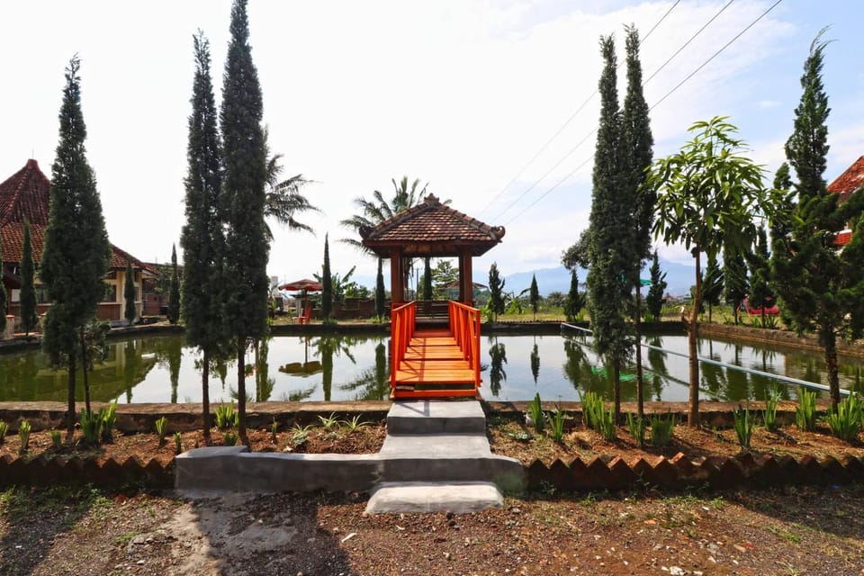 Area and facilities