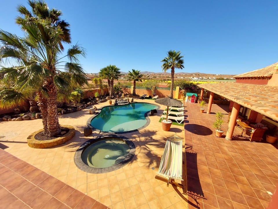 Patio, Swimming pool, sunbed