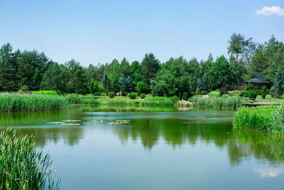 Natural landscape, Lake view, River view