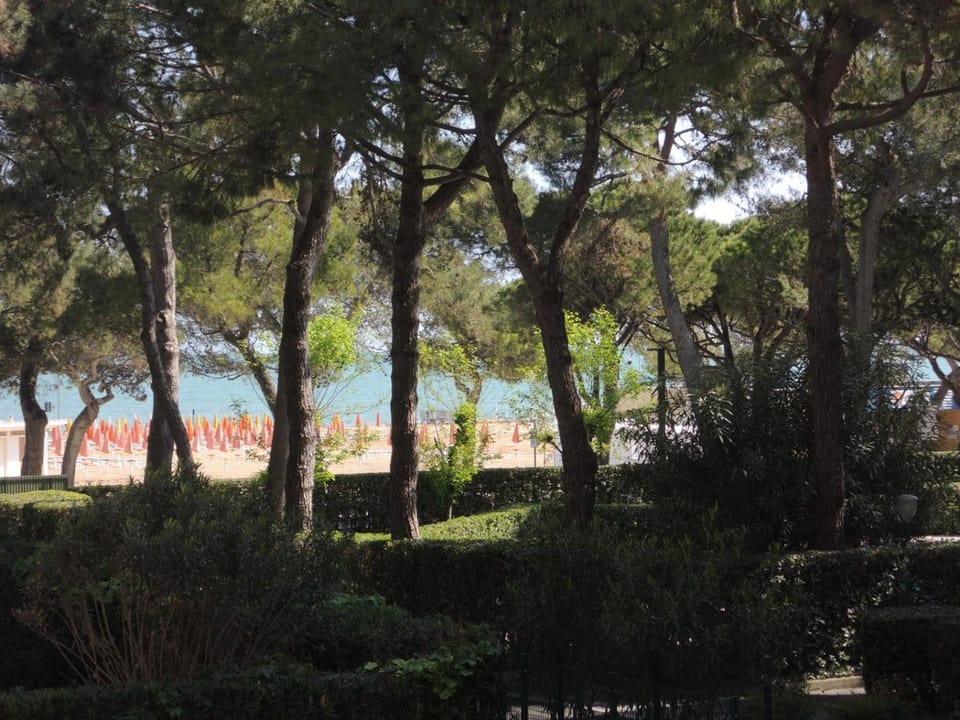 Garden, Sea view