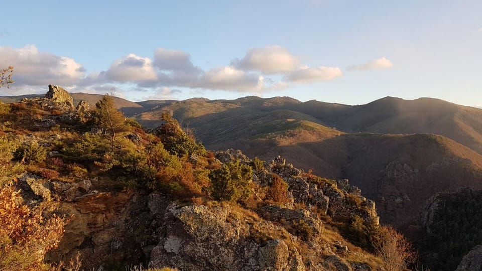 La Fougeraie Dourbies Bed and Breakfast in Occitanie
