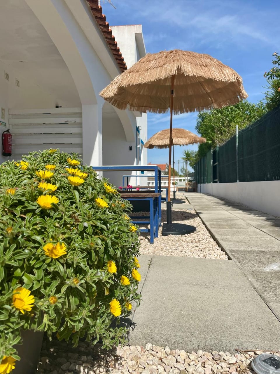 Property building, Patio, Garden, Garden