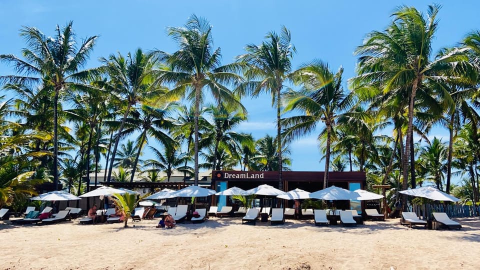 Restaurant/places to eat, Lounge or bar, Beach