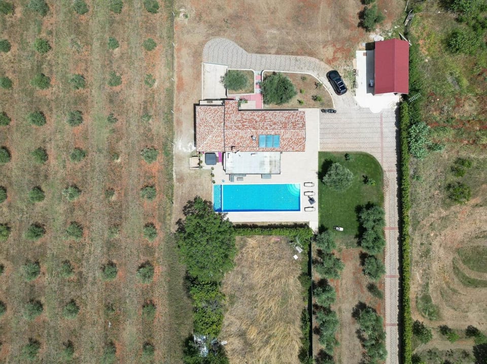 Day, Swimming pool