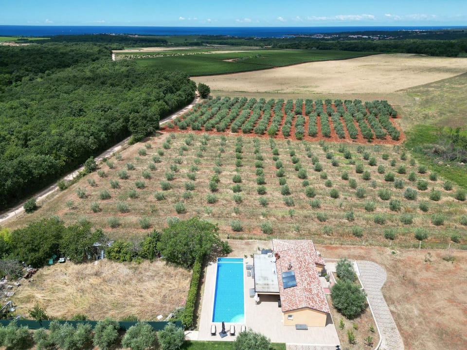 Natural landscape, Swimming pool
