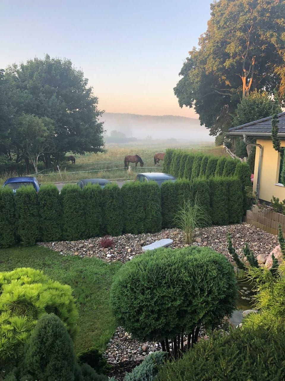 View (from property/room)