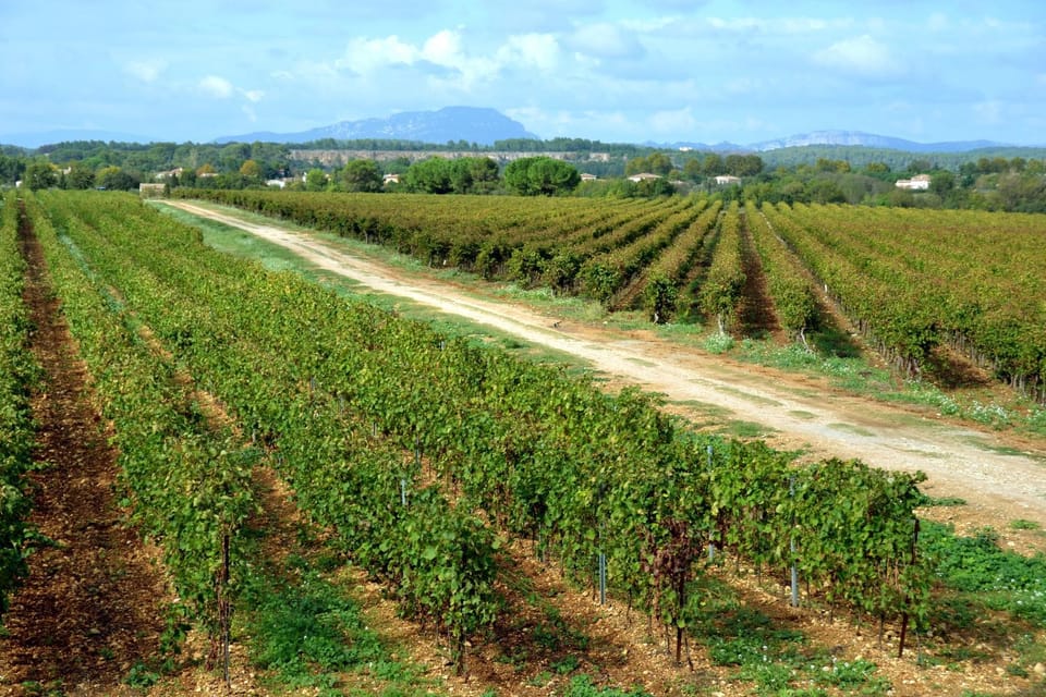 Natural landscape, Garden