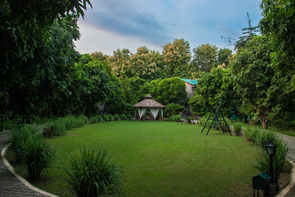 Garden