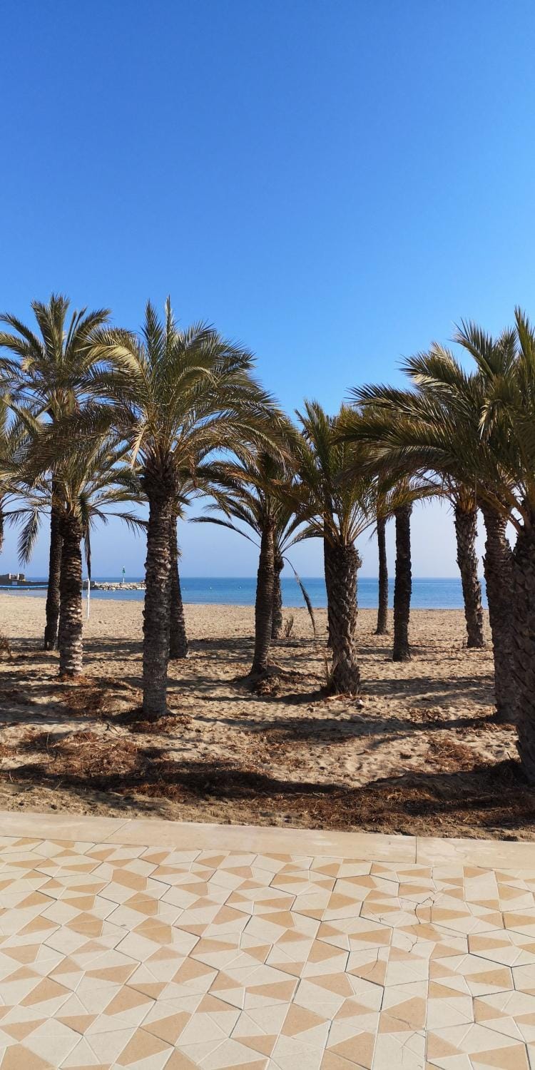 Apartamentos Hawaii - Parking y 50 mt del Arenal Apartment in Marina Alta