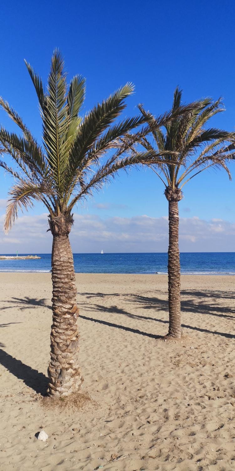 Apartamentos Hawaii - Parking y 50 mt del Arenal Apartment in Marina Alta