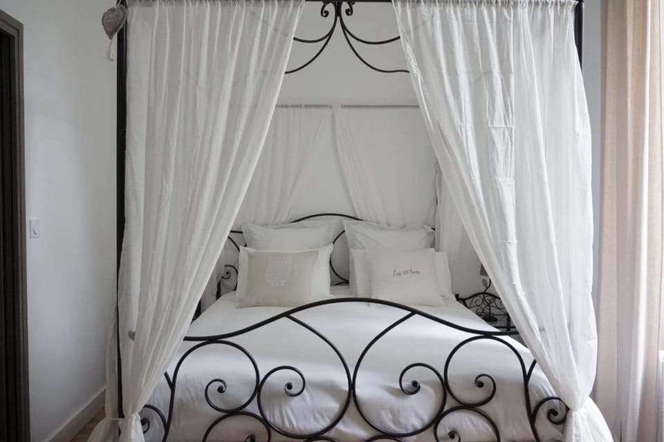 Château des Basses Roches Bed and Breakfast in Centre-Val de Loire