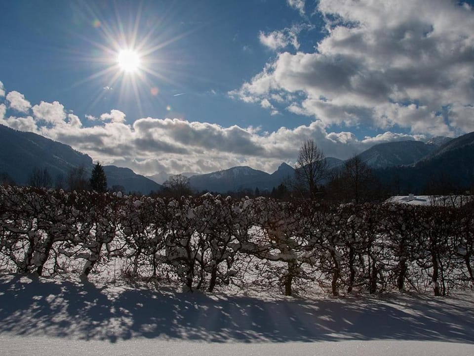 Day, Natural landscape, Winter