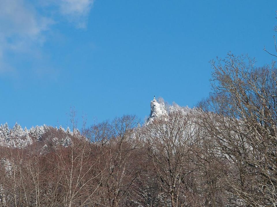 Winter, Mountain view