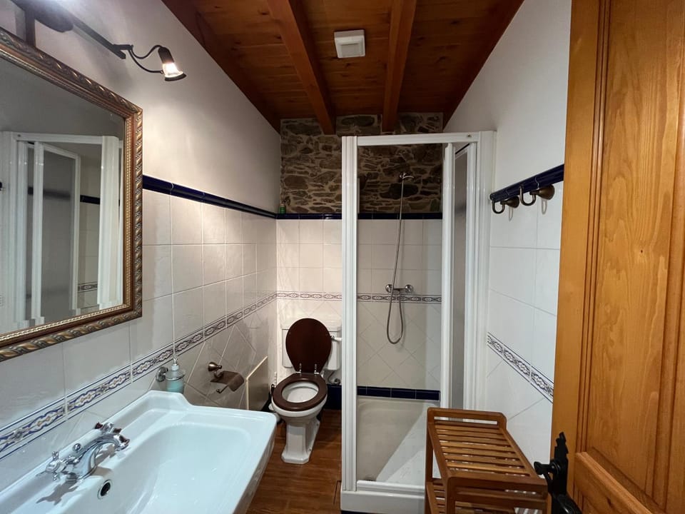 Shower, Toilet, Bathroom, towels