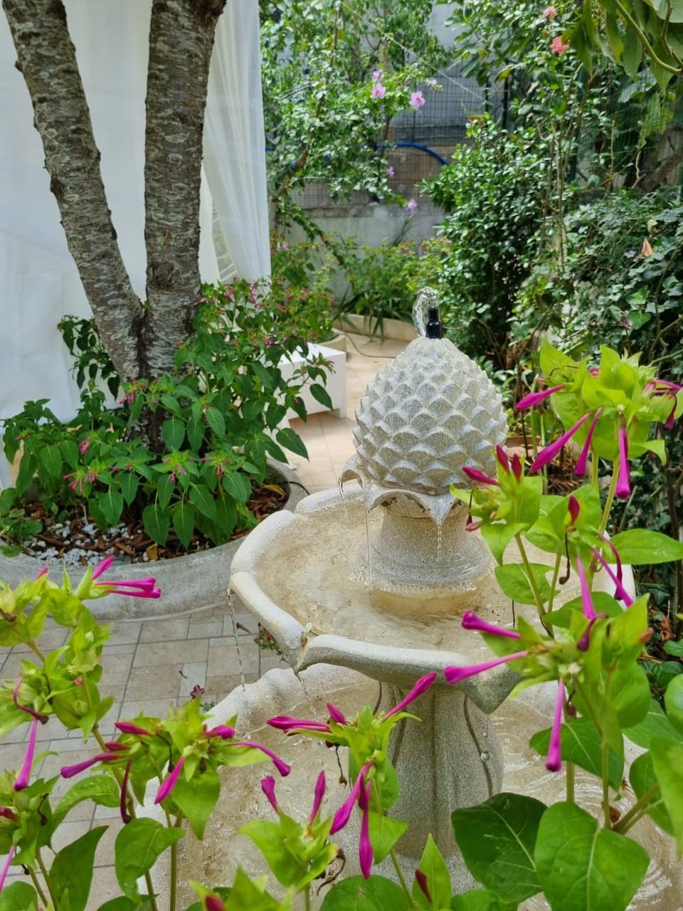 Garden, Garden, Garden view